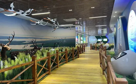 射阳鹤乡湿地生态生命教育基地展厅设计